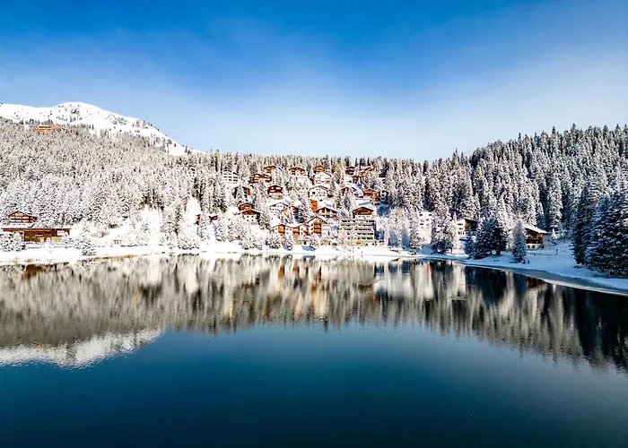 Rehwiesa 11c By أروسا